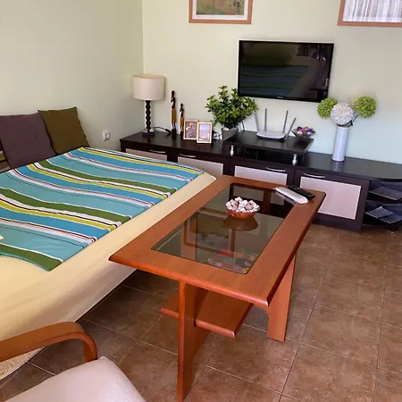 Siana 1 Apartment Sveti Vlas