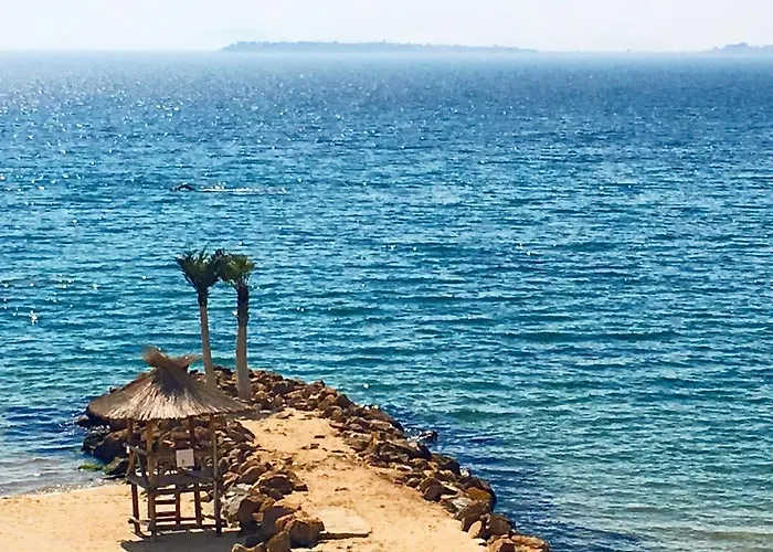 Siana 1 Apartament Sveti Vlas