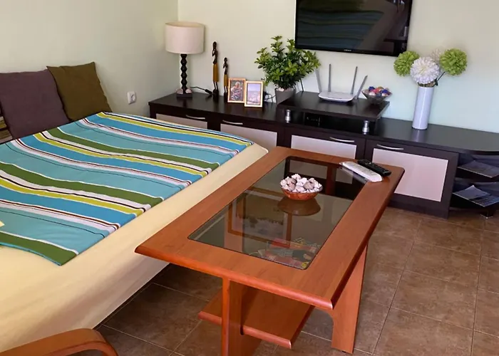 Siana 1 Daire Sveti Vlas