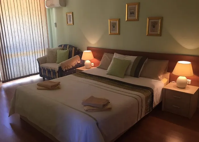 Siana 1 Daire Sveti Vlas